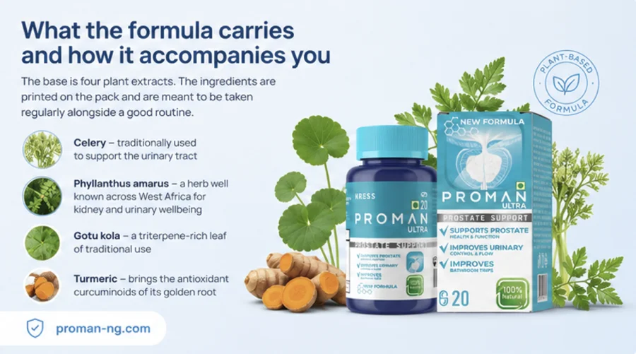Proman — capsules with celery, Phyllanthus amarus, gotu kola and turmeric extracts